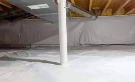 Crawlspace Encapsulation Services