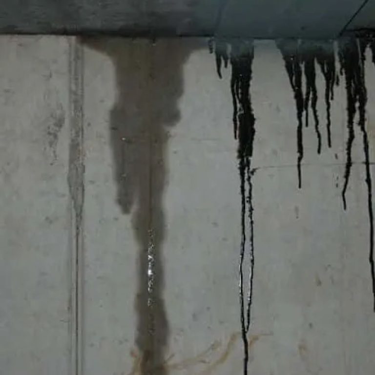 leak detection services Toronto